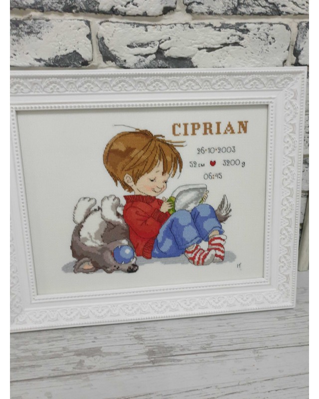 Tablou "Ciprian"